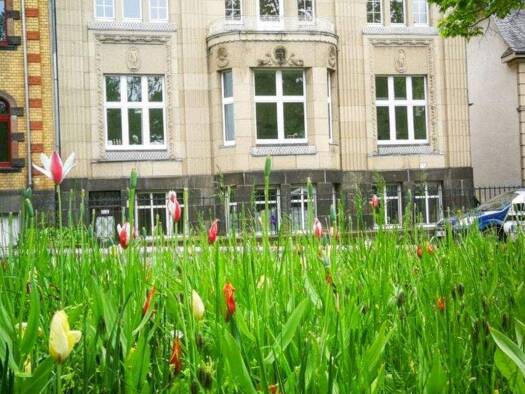 Wohn- und Geschäftshaus zum Kauf als Kapitalanlage geeignet 920.000 € 799 m² 914 m² Grundstück Mayen 56727