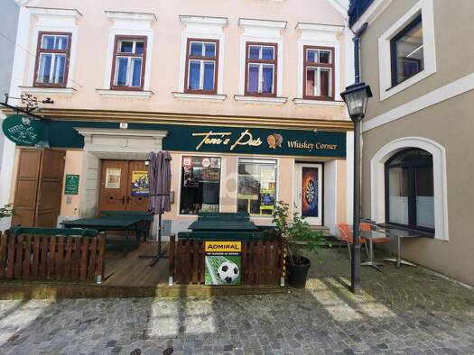 Mehrfamilienhaus zum Kauf 5 Zimmer 280 m² 226 m² Grundstück Waidhofen an der Ybbs Waidhofen an der Ybbs 3340