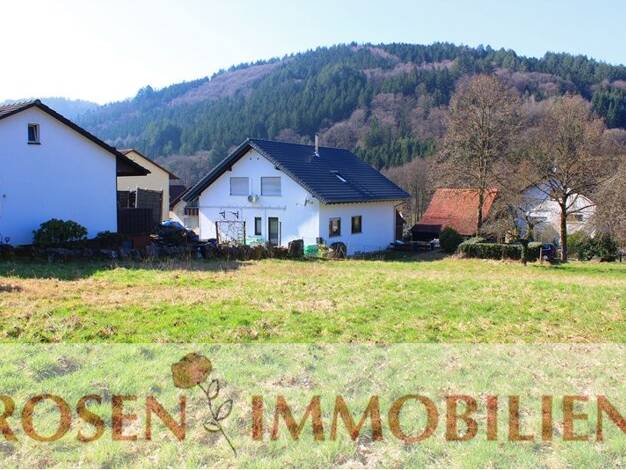 Grundstück zum Kauf 48.000 € 633 m² Grundstück frei ab sofort Unter-Schönmattenwag Wald-Michelbach 69483