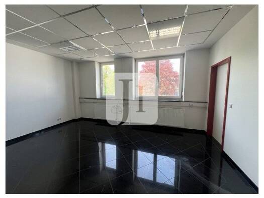 Bürofläche zur Miete 1.100 m² Bürofläche teilbar ab 150 m² Reinbek Reinbek 21465