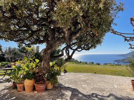 Einfamilienhaus zum Kauf 2.632.500 € 12 Zimmer 300 m² 3.400 m² Grundstück Theoule sur Mer 06590