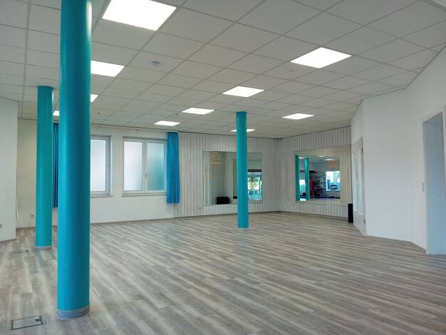 Büro zur Miete 1.950 € 228 m² Bürofläche Markdorf Markdorf 88677