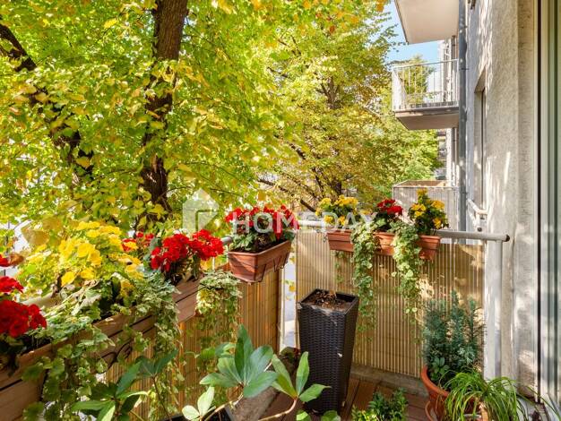 Wohnung zum Kauf 245.000 € 2 Zimmer 59 m² 2. Geschoss Weißensee Berlin 13086