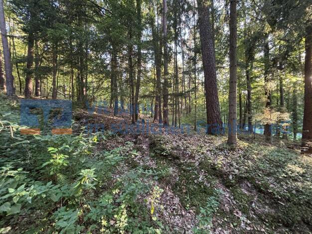 Land-/Forstwirtschaft zum Kauf 90.444 € 45.222 m² Grundstück Petersaurach Petersaurach 91580