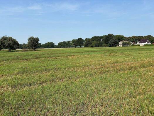 Grundstück zum Kauf provisionsfrei 24.000 m² Grundstück frei ab sofort Staffelde Kremmen 16766