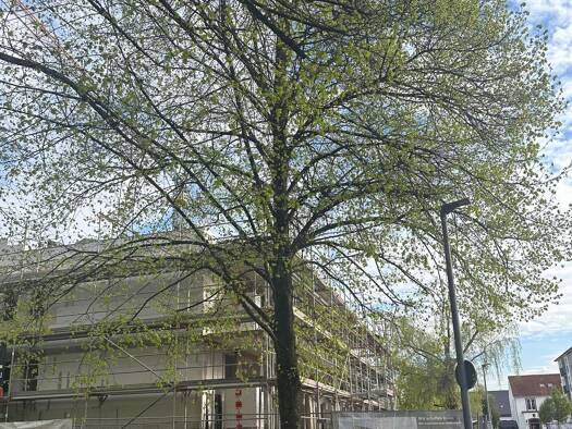 Wohnung zum Kauf - Erstbezug 306.200 € 3 Zimmer 78,5 m² frei ab 01.02.2028 Saarlouis 66740