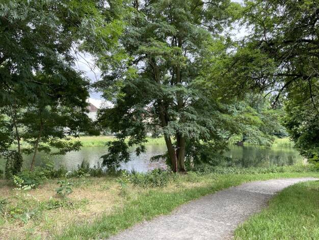 Wohnung zum Kauf provisionsfrei 198.000 € 2 Zimmer 68,6 m² Breitkopfstraße 133 Reinickendorf Reinickendorf 13409