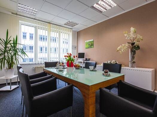 Bürofläche zur Miete provisionsfrei 780 € 24 m² Bürofläche Hegelstraße Altstadt Magdeburg 39104