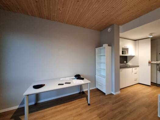 Studio zur Miete 780 € 1 Zimmer 35 m² Geschoss 4/5 frei ab 01.08.2026 Neckarstadt Mannheim 68167