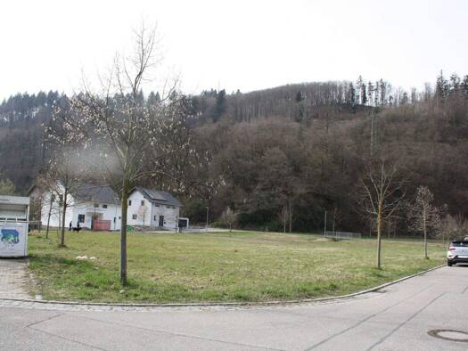 Gewerbegrundstück zum Kauf 214.550 € 613 m² Grundstück Hausen im Wiesental 79688