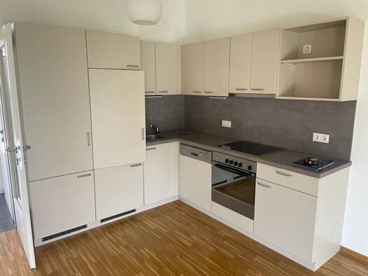 Wohnung zur Miete 523 € 3 Zimmer 55 m² 1. Geschoss frei ab 01.07.2026 Gleisdorf 8200