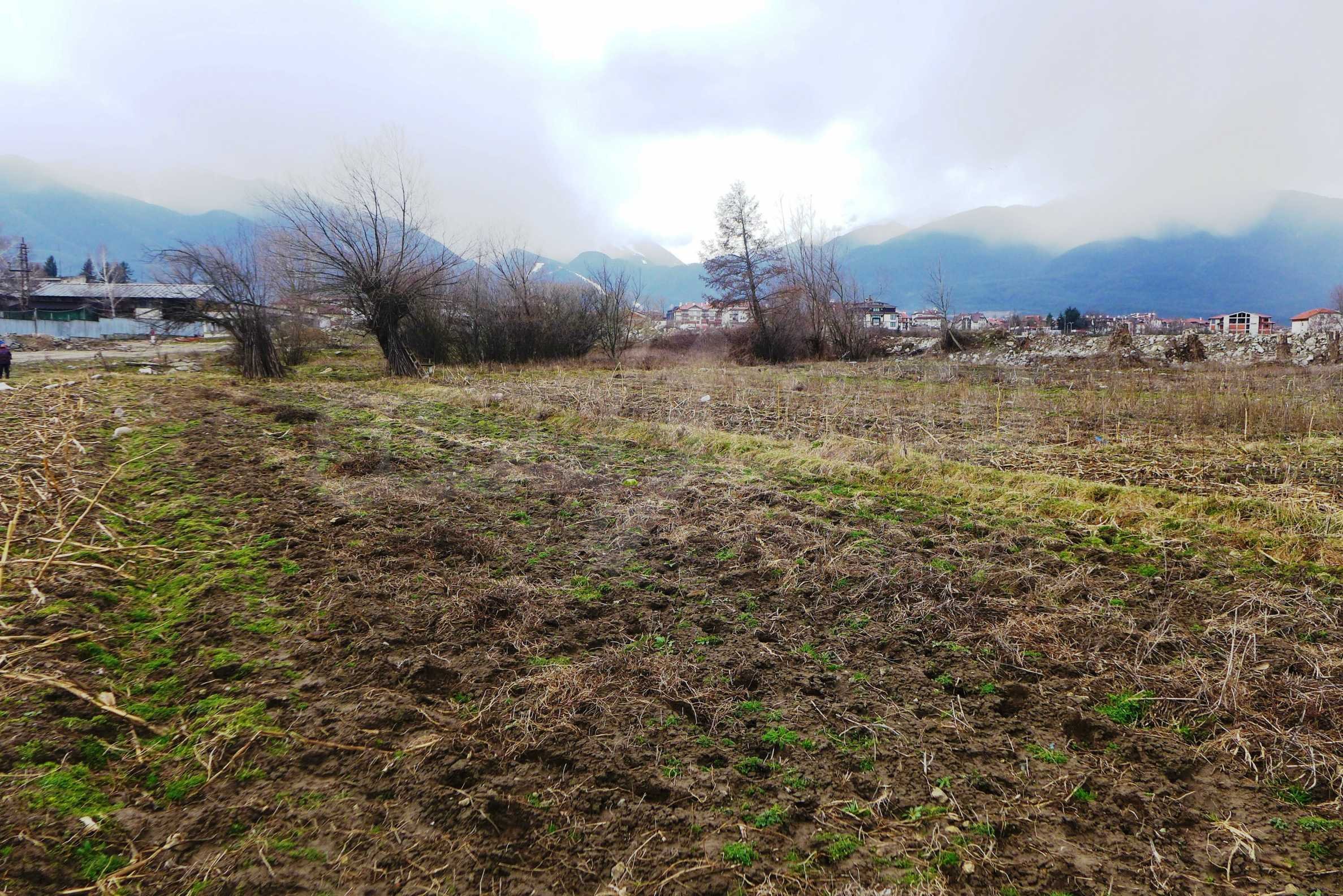 Landwirtschaftliche Fläche zum Kauf 44.500 € Bansko