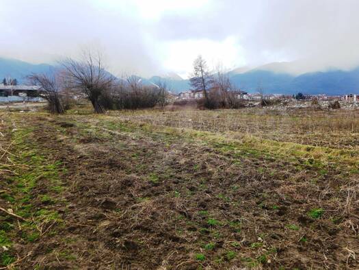 Landwirtschaftliche Fläche zum Kauf 44.500 € Bansko