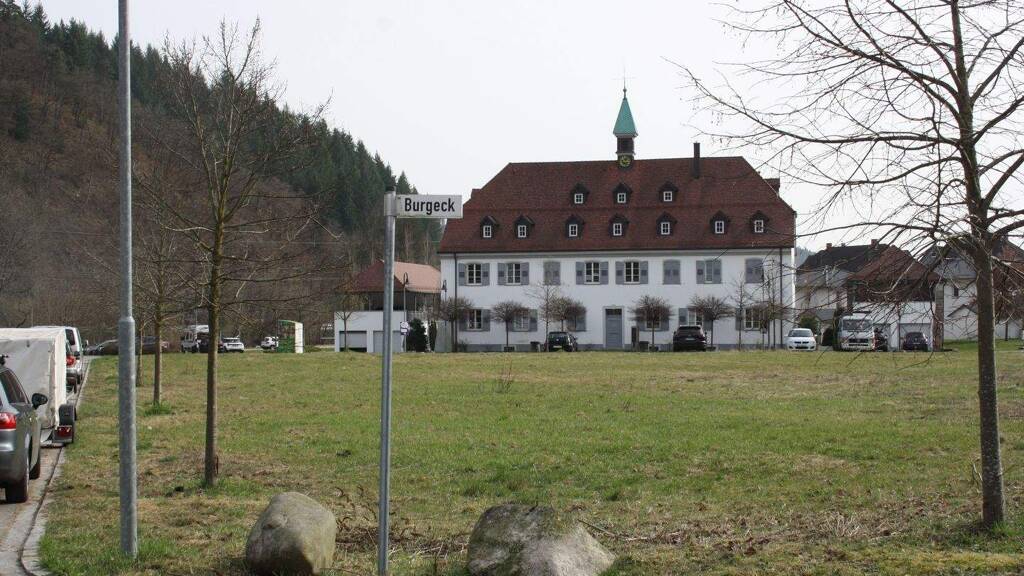 Gewerbegrundstück zum Kauf 219.800 € 628 m² Grundstück Hausen im Wiesental 79688