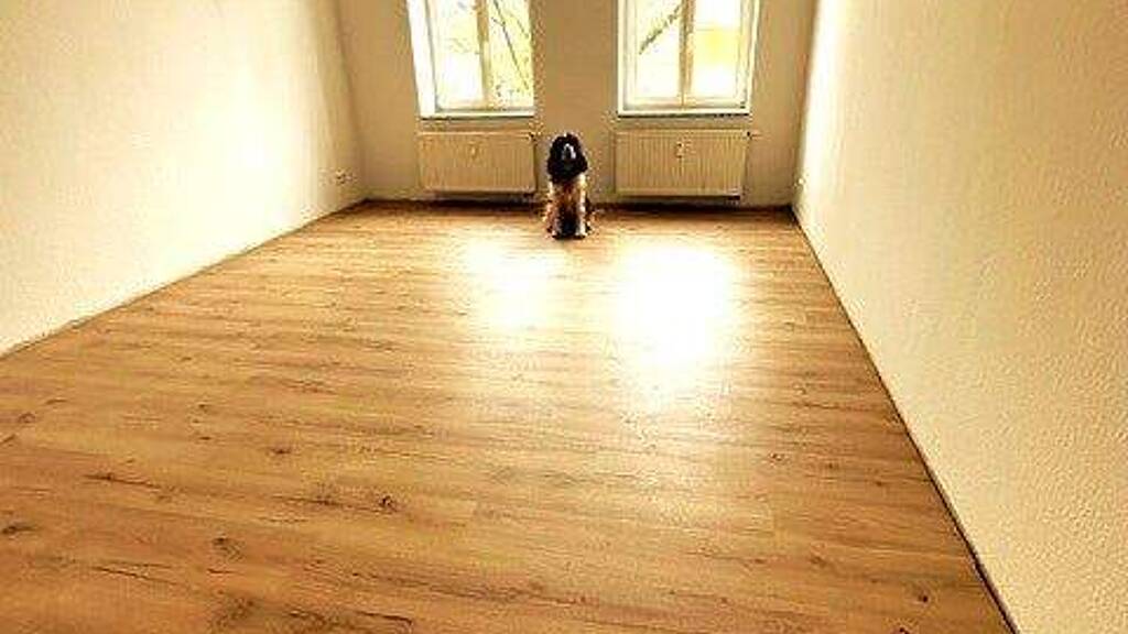 Wohnung zur Miete 385 € 2 Zimmer 70 m² 3. Geschoss Ludwigstraße 45 Schloßchemnitz Chemnitz 09113