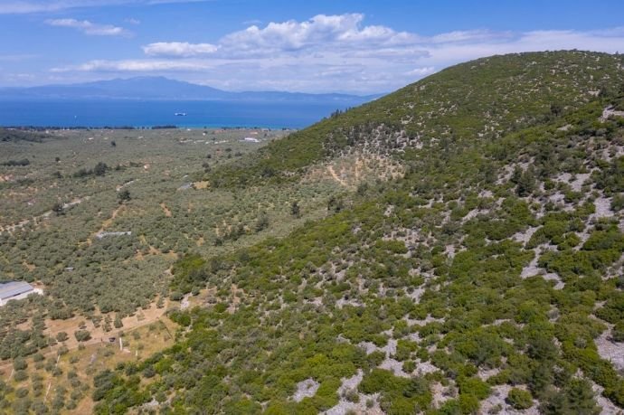 Grundstück zum Kauf 70.000 € 5.662 m²<br/>Grundstück Thassos, Rachoni