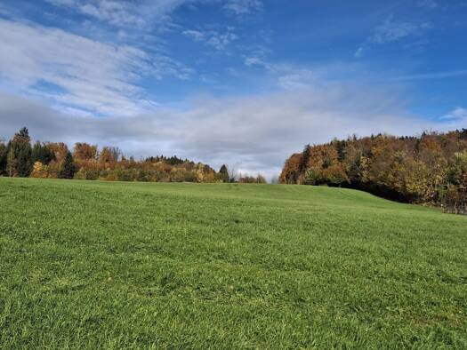 Grundstück zum Kauf 357 m² Grundstück Salzburg Salzburg 5020
