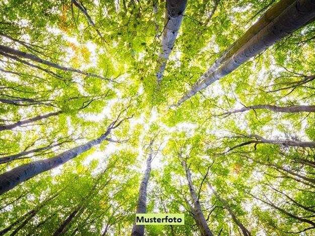 Land-/Forstwirtschaft zum Kauf 285.910 € 66.750 m² Grundstück Kirchdorf Kirchdorf i. Wald 94261