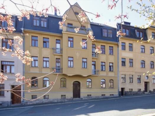 Mehrfamilienhaus zum Kauf 21 Zimmer 515 m² 400 m² Grundstück Reichenbach Reichenbach 08468