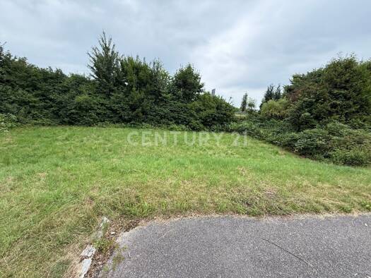 Grundstück zum Kauf 260.000 € 1.200 m² Grundstück frei ab sofort St Georgen St. Georgen 83368