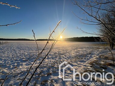 Land-/Forstwirtschaft zum Kauf 70.900 € 57.646 m² Grundstück Braunsdorf Spreenhagen / Braunsdorf 15528