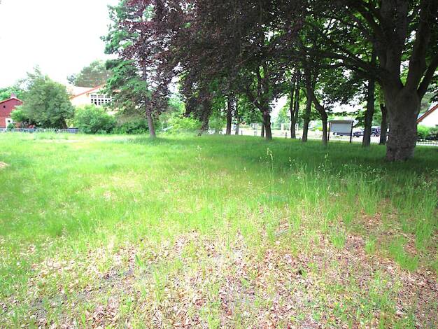 Grundstück zum Kauf 1.712 m² Grundstück Prerow 18375
