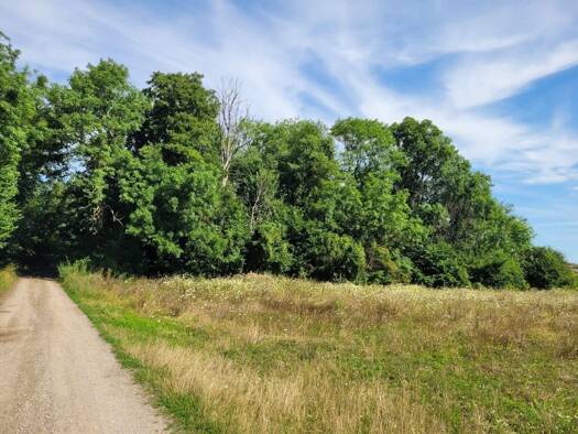 Land-/Forstwirtschaft zum Kauf 13.290 € Schwedt/Oder 16303