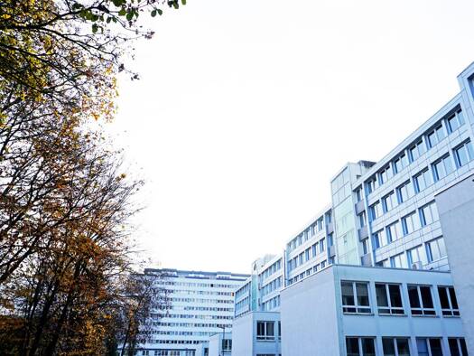 Bürogebäude zur Miete 950 m² Bürofläche Wesertor Wesertor 34117