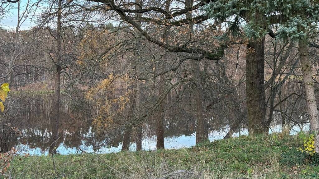 Einfamilienhaus zum Kauf 875.000 € 3 Zimmer 86 m² 3.935 m² Grundstück Krummenseer Dorfstraße 14 Krummensee Mittenwalde OT Krummensee 15749