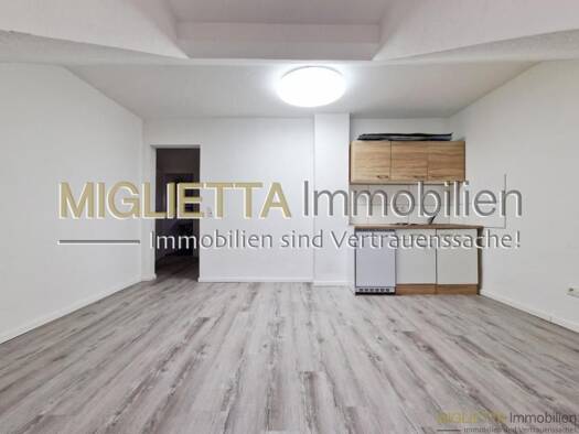 Wohnung zur Miete 480 € 1 Zimmer 33 m² 4 Geschosse frei ab sofort Friesenheim/Nord Ludwigshafen am Rhein 67063