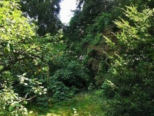 Grundstück zum Kauf 227.890 € 410 m² Grundstück Glienicke/Nordbahn 16548