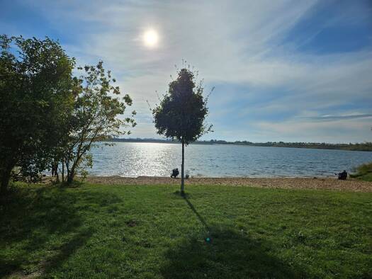 Freizeitgrundstück zur Miete als Kapitalanlage geeignet 1.500 € 5.000 m² Grundstück Mühlberg Mühlberg/Elbe 04931