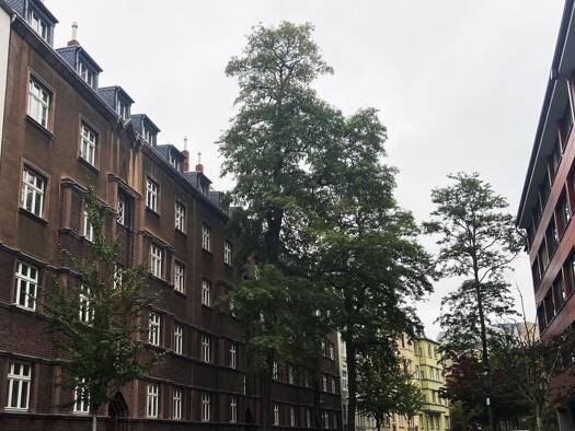 Wohnung zum Kauf 335.000 € 2 Zimmer 73 m² 3. Geschoss Düsseldorf 40476