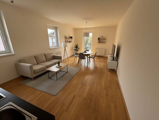 Wohnung zur Miete 450 € 2 Zimmer 53,6 m² 1. Geschoss Hauseggerstraße Eggenberg Graz 8020