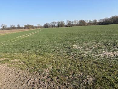 Land-/Forstwirtschaft zum Kauf 15.250 € 5.891 m² Grundstück Sallahn Küsten 29482