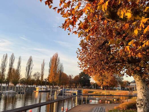 Wohnung zum Kauf 349.000 € 2 Zimmer 65,8 m² 1. Geschoss Unteruhldingen Uhldingen-Mühlhofen 88690