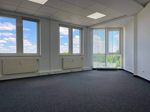 Bürofläche zur Miete 255 € 1 Zimmer 30 m² Bürofläche Krebsförden Schwerin 19061