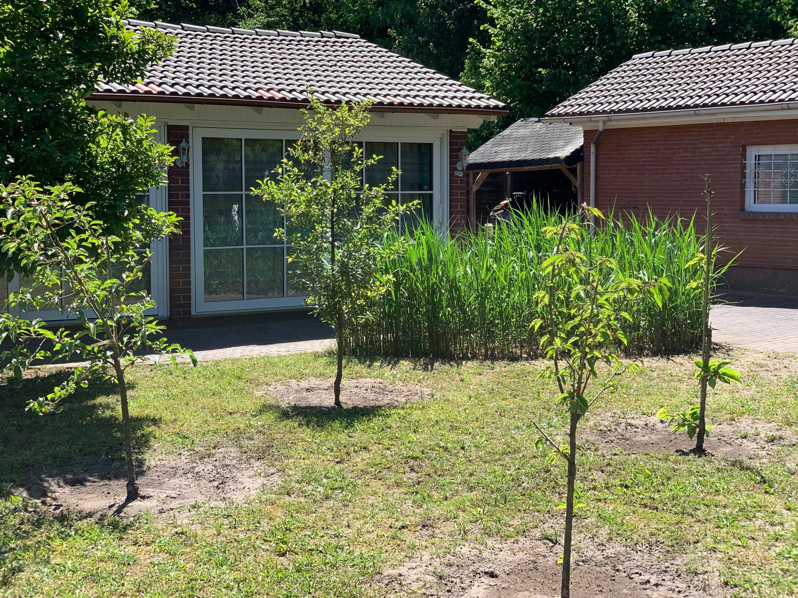 Property thumbnail 8