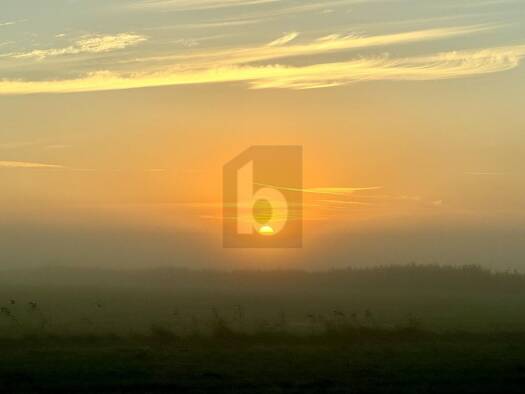 Grundstück zum Kauf 22.000 m² Grundstück Prerow 18375
