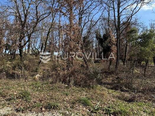 Acker-/Waldstück zum Kauf 37.500 € Loborika Marčana 52206