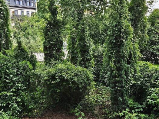 Wohnung zum Kauf als Kapitalanlage geeignet 119.500 € 2 Zimmer 50 m² Plagwitz Leipzig 04229