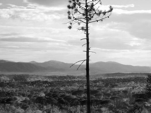 Land-/Forstwirtschaft zum Kauf - Erstbezug provisionsfrei als Kapitalanlage geeignet 40.000 € 1 Zimmer 33.721 m² Grundstück Ikendorfer Stra Neu Fienstorf Broderstorf 18184