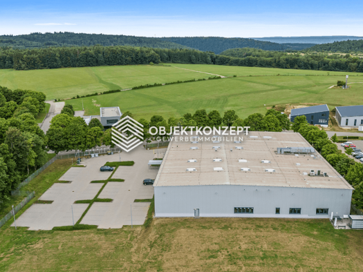 Produktionshalle zum Kauf provisionsfrei 3.167 m² Lagerfläche Neuhausen Neuhausen ob Eck 78579