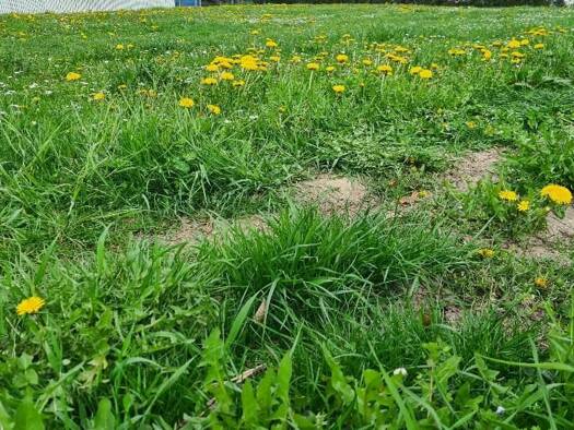 Grundstück zum Kauf 500 m² Grundstück Demling Großmehring 85098