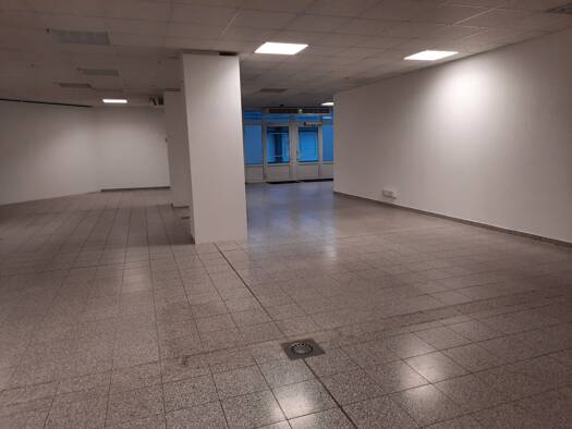Ladenfläche zur Miete provisionsfrei 4,50 € 2 Zimmer 283,5 m² Verkaufsfläche Bornaer Straße 150 Borna-Heinersdorf Chemnitz 09114