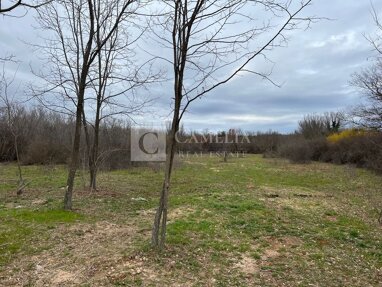 Land-/Forstwirtschaft zum Kauf 130.000 € Manjadvorci