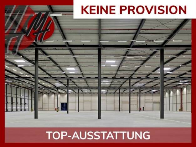Lagerhalle zur Miete provisionsfrei 50.000 m² Lagerfläche teilbar ab 10.000 m² Sponsheim Bingen am Rhein 55411