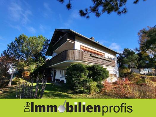 Einfamilienhaus zum Kauf 199.500 € 5 Zimmer 225 m² 1.468 m² Grundstück Innenstadt Hof 95032