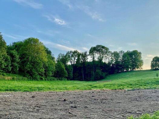 Grundstück zum Kauf provisionsfrei 180.000 € 896 m² Grundstück Krenglbach 4631