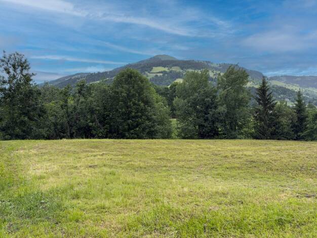 Grundstück zum Kauf 950.000 € 600 m² Grundstück Westendorf 6363
